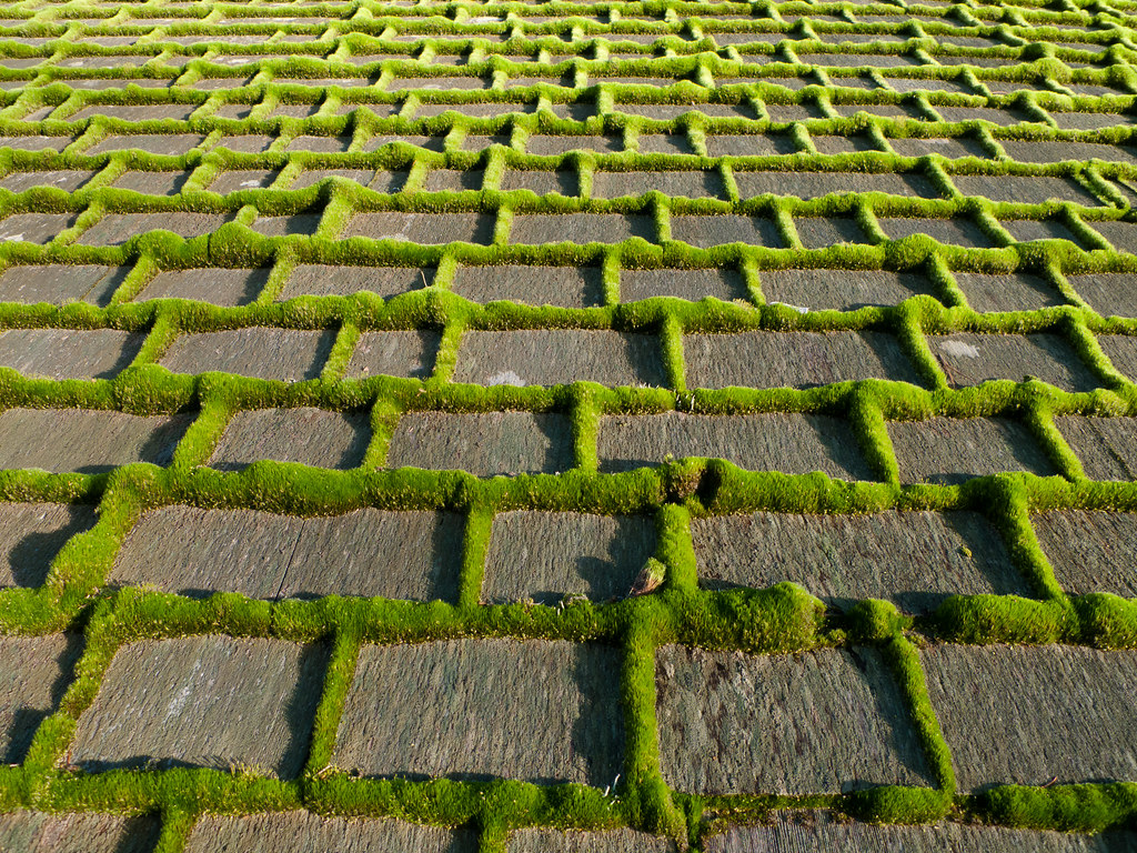 How to Kill Moss Growth on Your Roof
